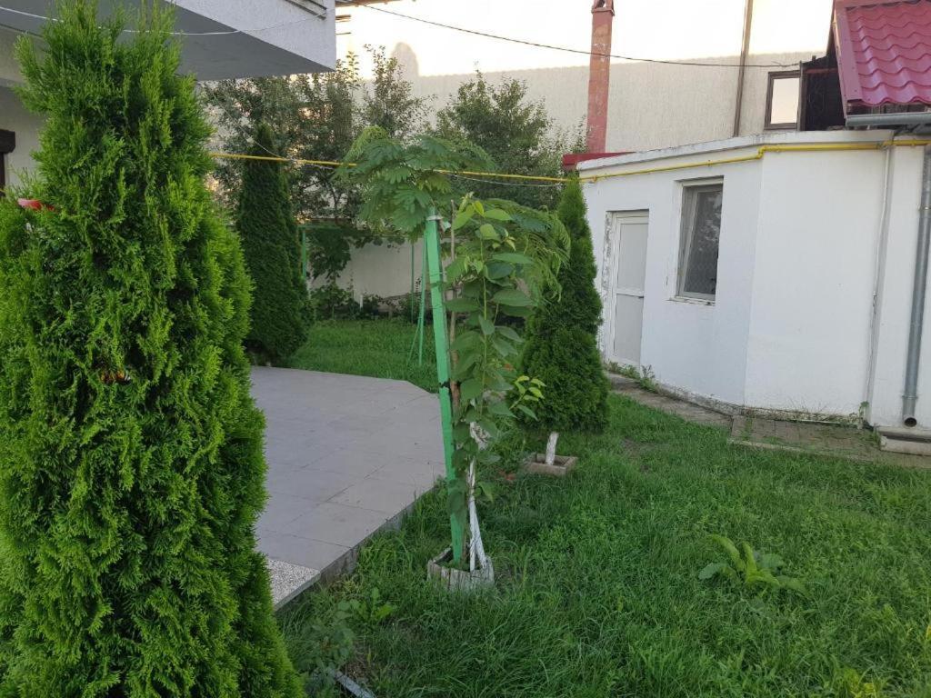 Vila Orizont Венус Экстерьер фото